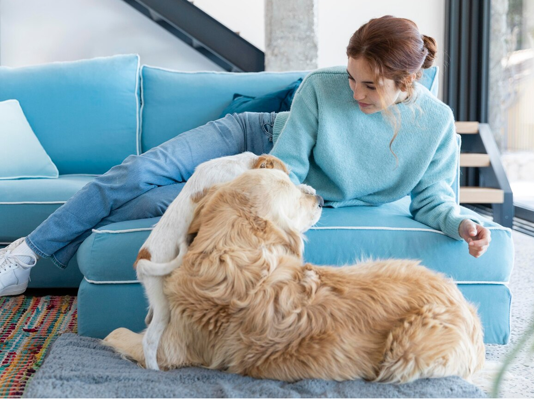 Pet Friendly Sofas