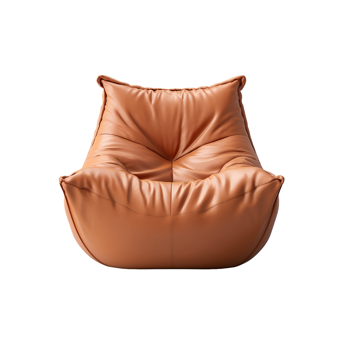 Modern Bean Bag