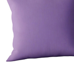 Roze Luxury Silk Pillow