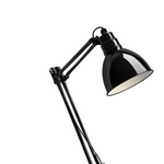 Industrial Adjustable Desk Lamp