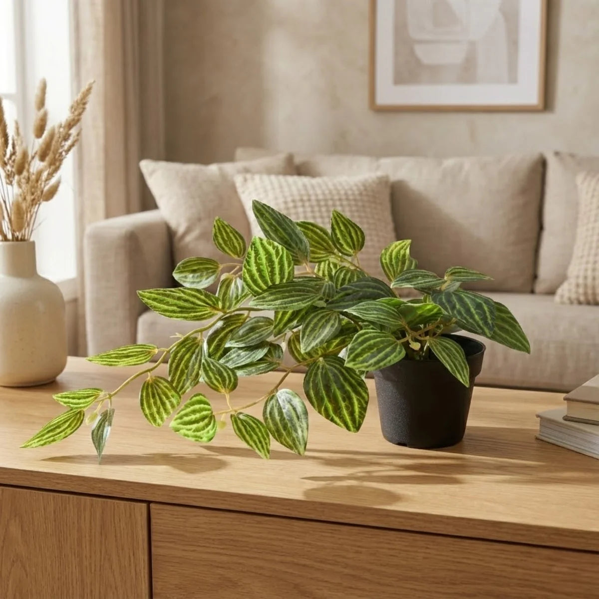 Zebra Potted Plant 38cm in Green