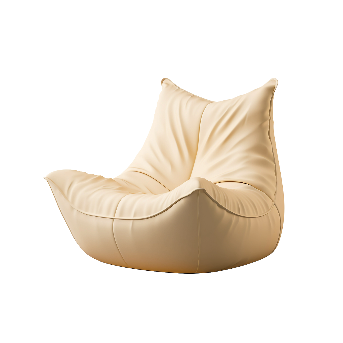 Modern Bean Bag