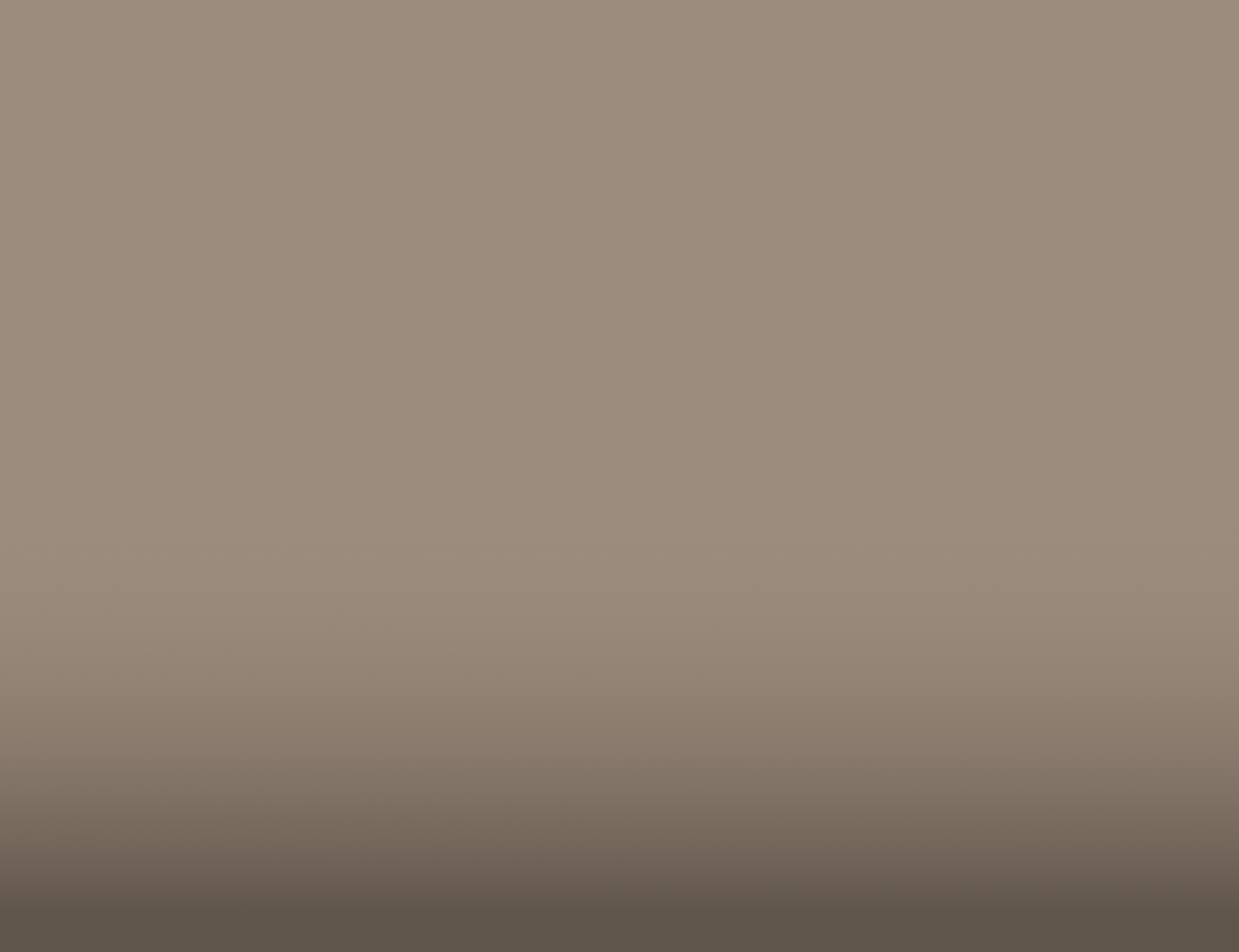 Texto alternativo de imagen