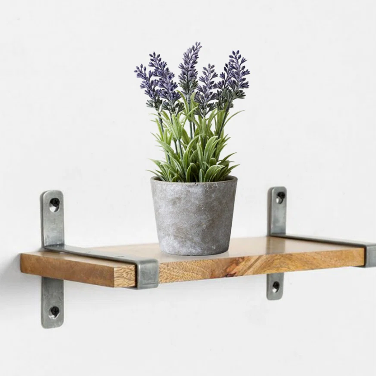 Texto alternativo de imagen