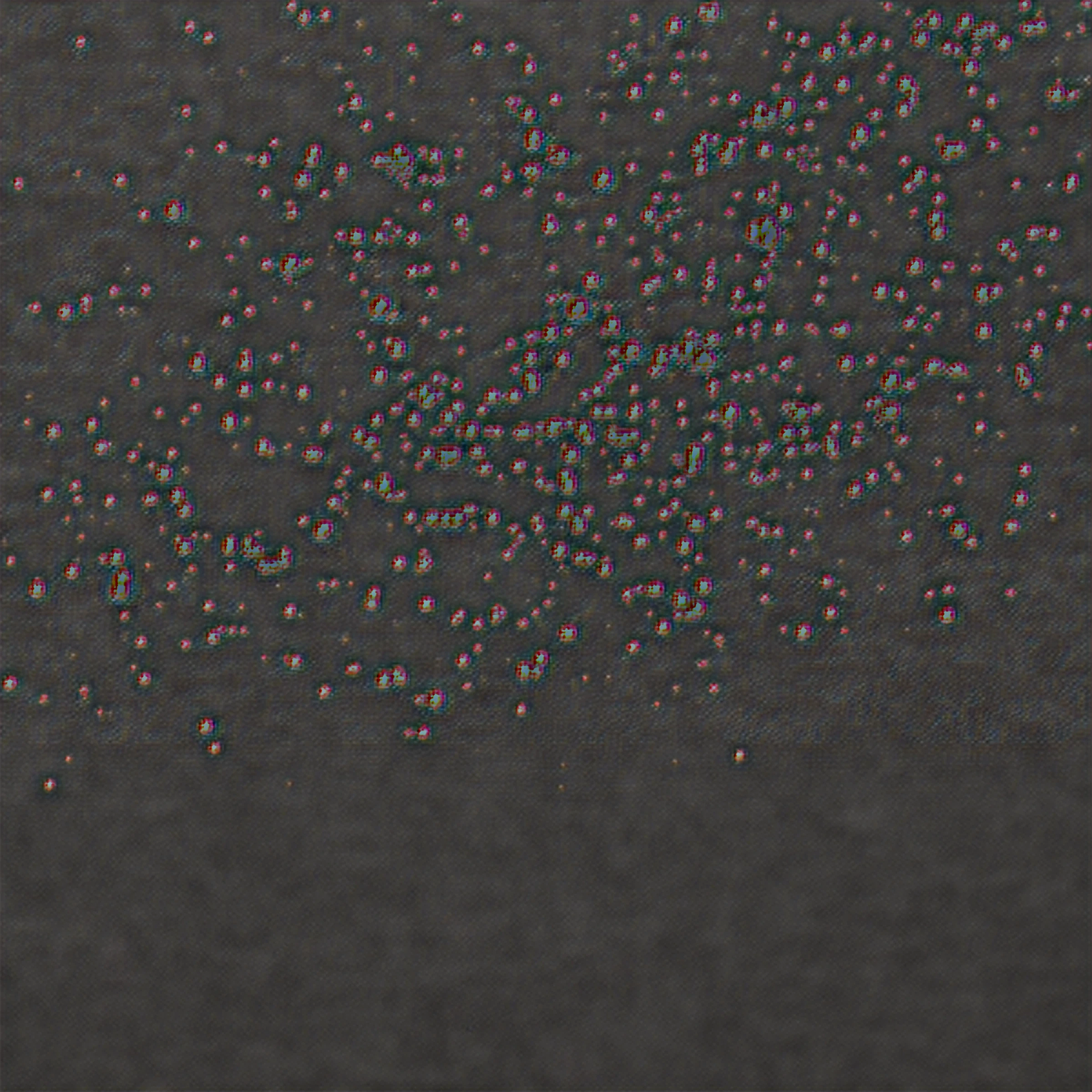 Black Standard Lounge Sofa Set