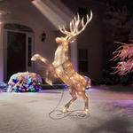 Christmas Light Outdoor Elk