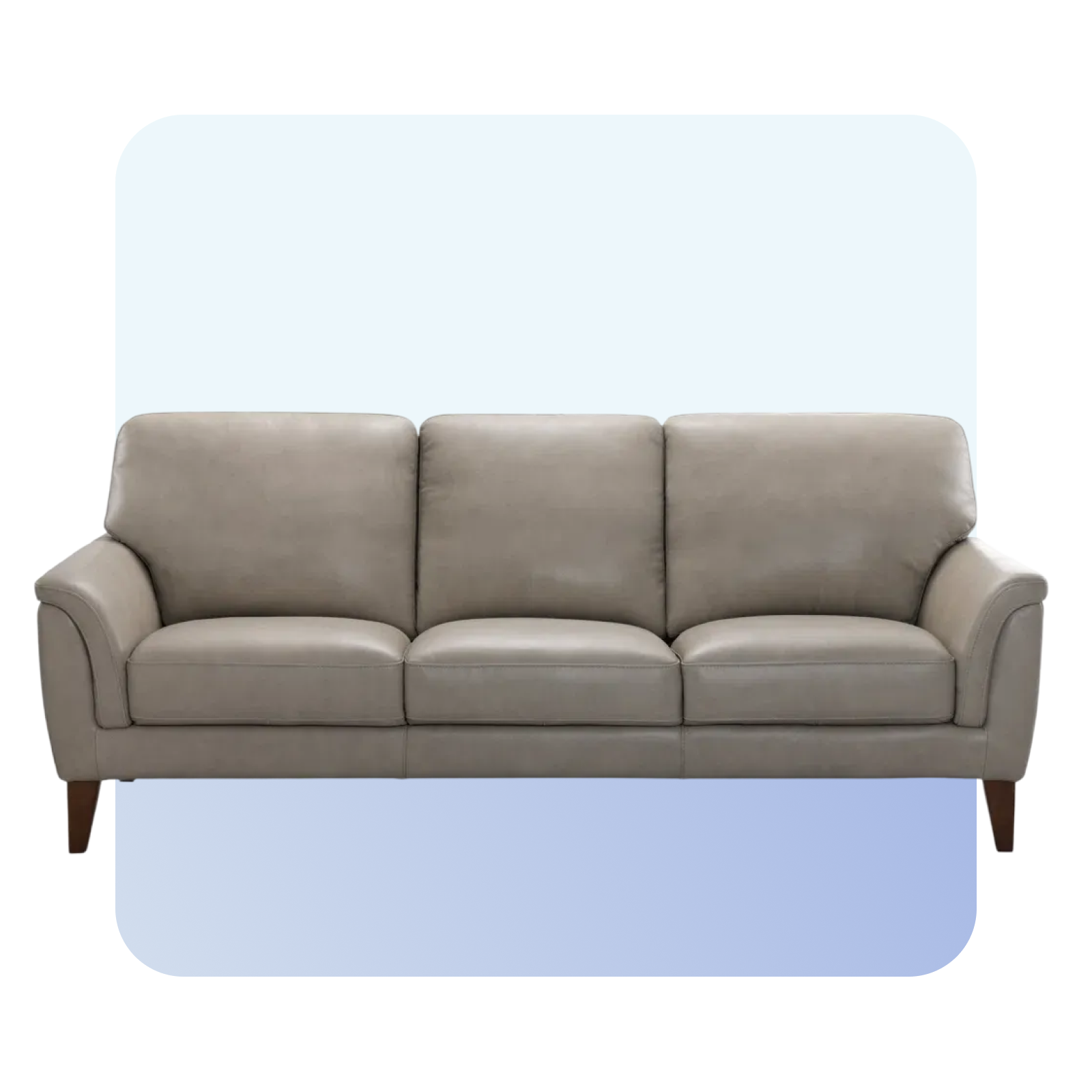 Leather Sofas