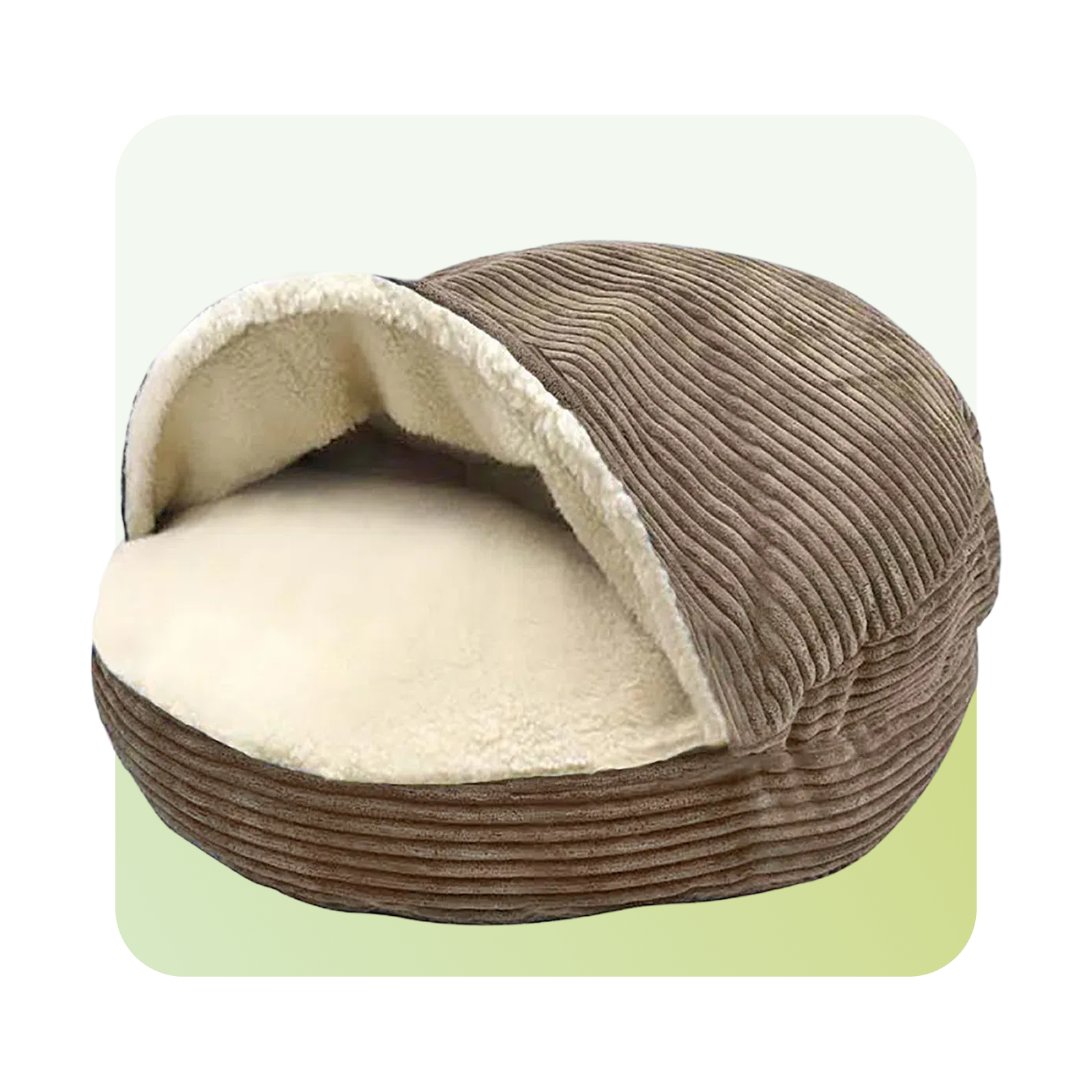 Pet Beds & Accessories