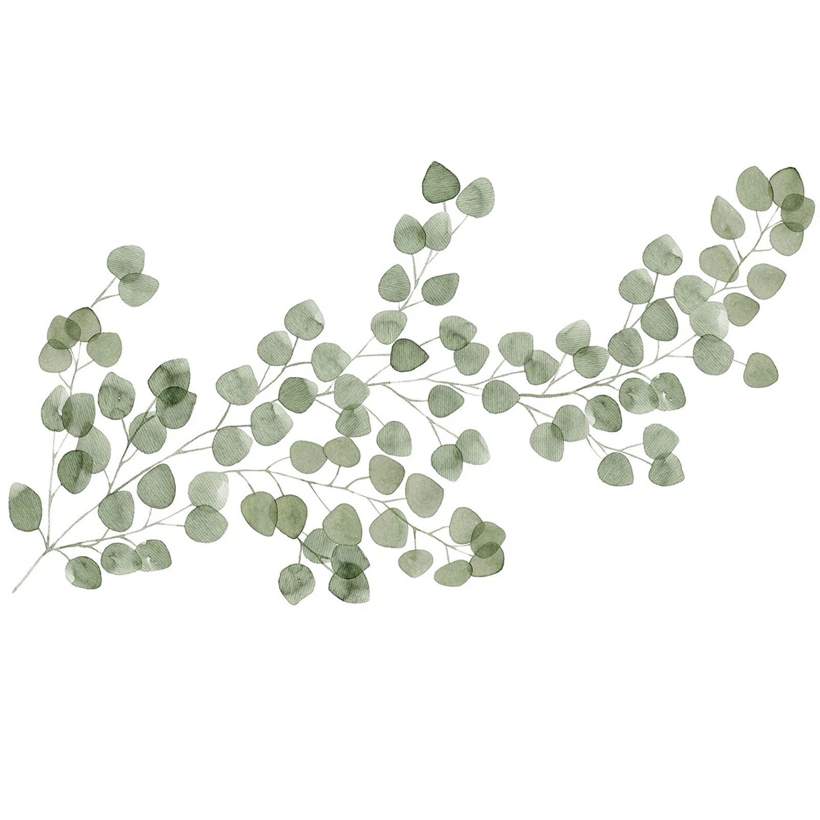 Greenery Vine Wall Decals